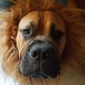 Meet your Posher, Colin